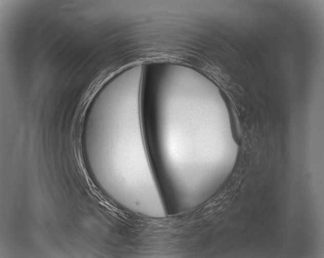 X0000079580241200612010933
