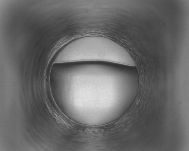 X0000079580242200612010933