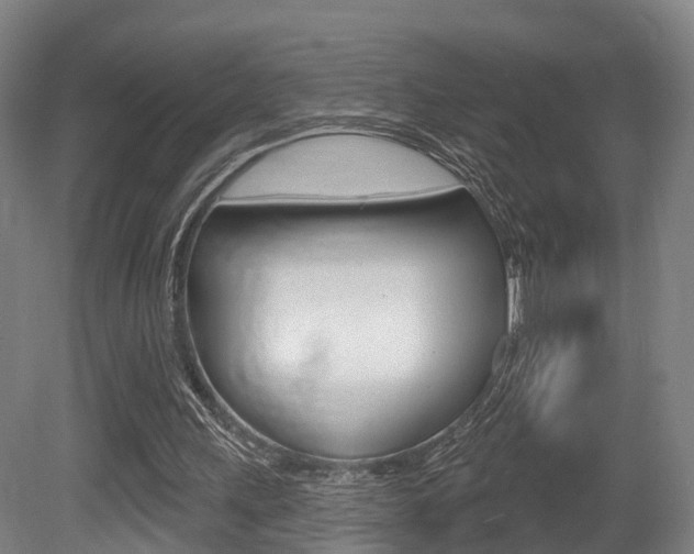 X0000079580243200612010933