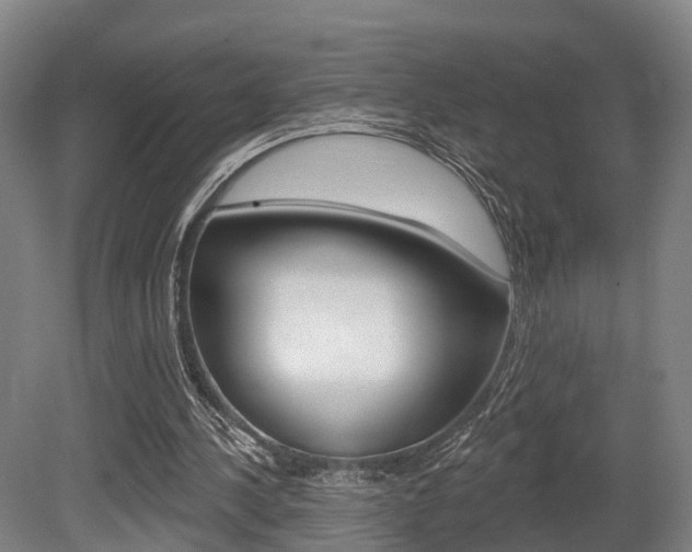 X0000079580244200612010933