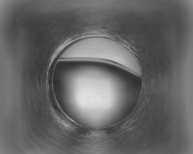 X0000079580248200612010933