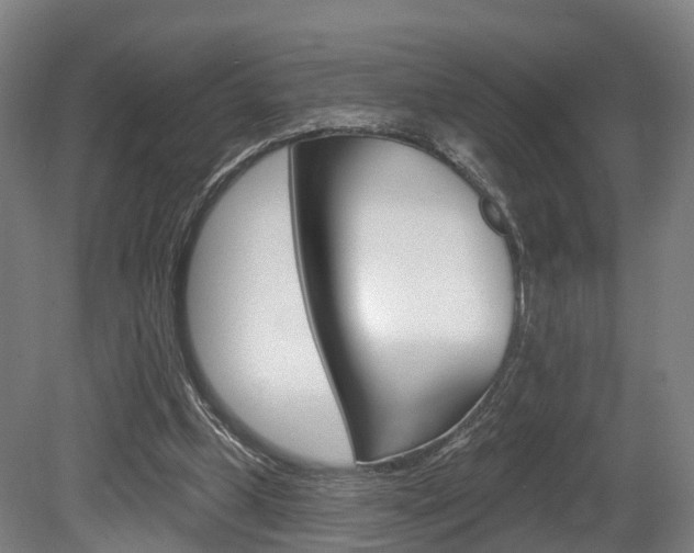 X0000079580249200612010933