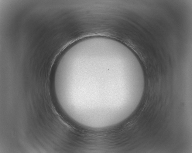 X0000079580252200612010933
