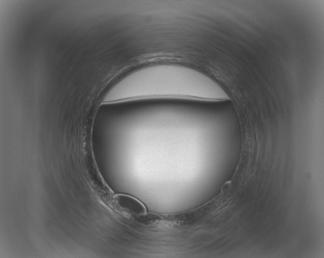 X0000079580255200612010933