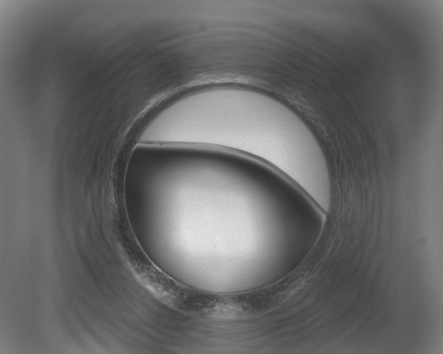 X0000079580256200612010933