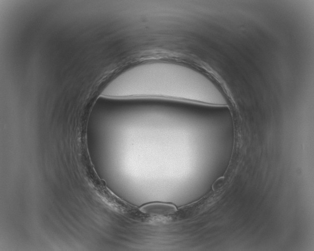 X0000079580257200612010933