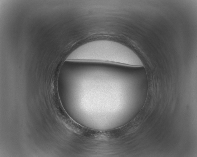 X0000079580259200612010933