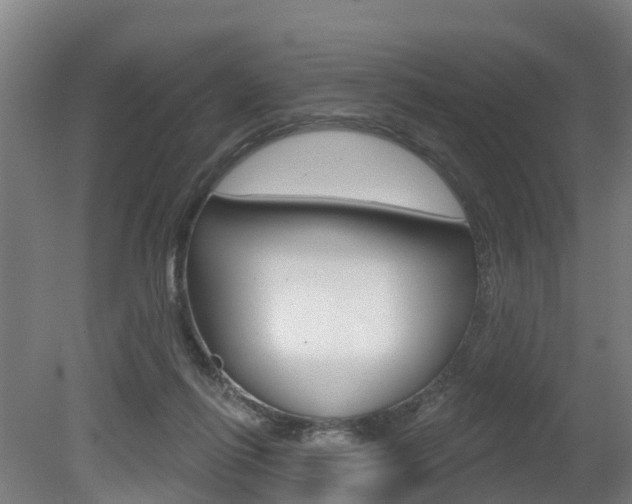X0000079580262200612010933