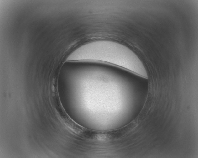 X0000079580264200612010933