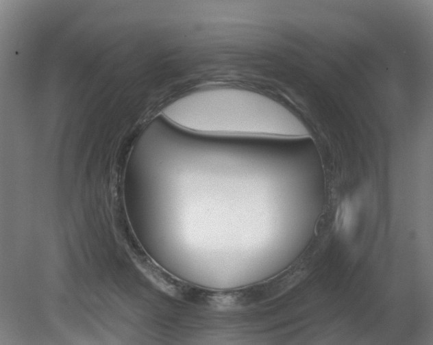 X0000079580265200612010933