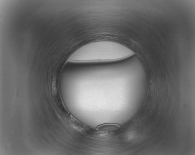 X0000079580267200612010933