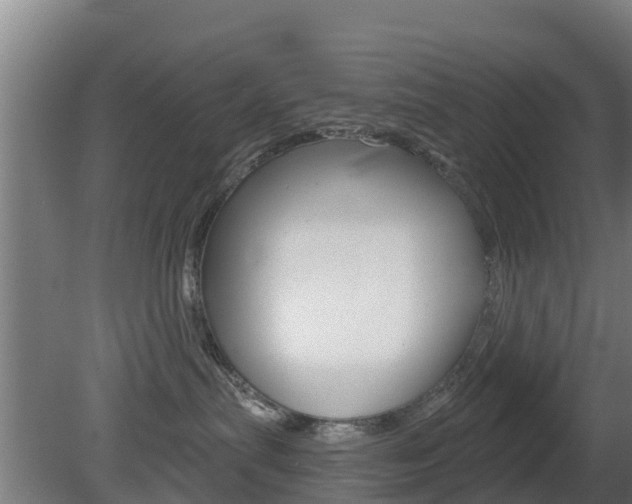 X0000079580287200612010933