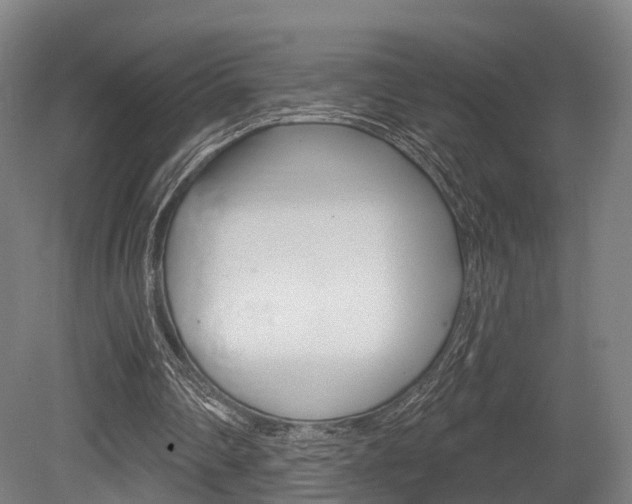 X0000079580290200612010933