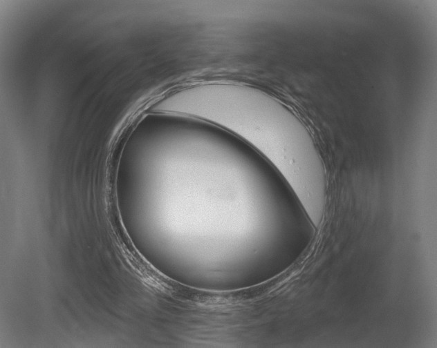 X0000079580293200612010933