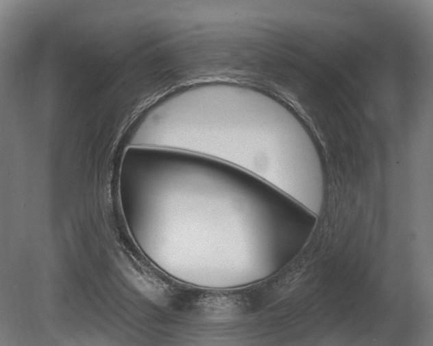 X0000079580299200612010933