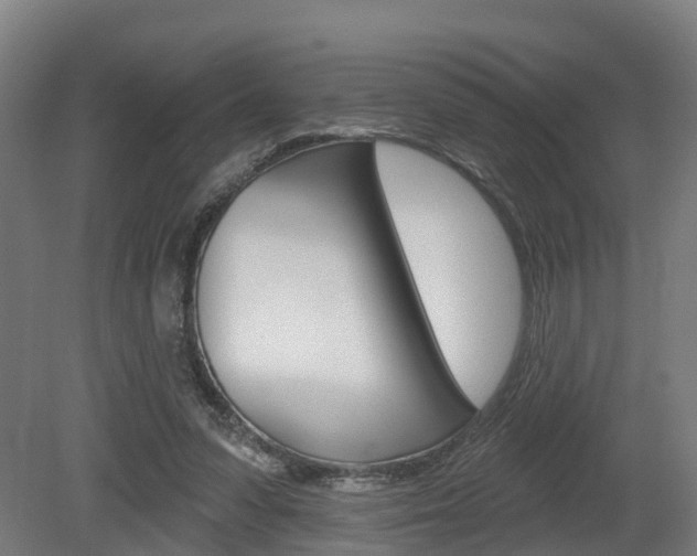 X0000079580303200612010932