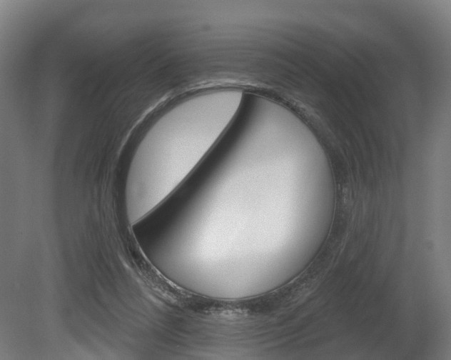X0000079580304200612010932