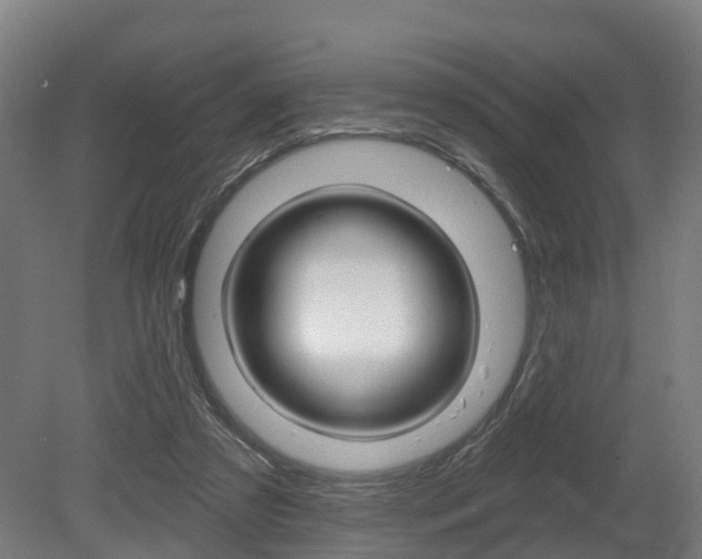 X0000079580305200612010932