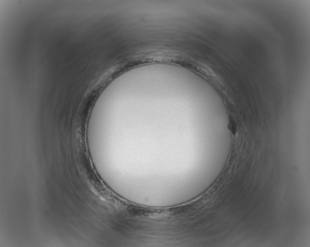 X0000079580306200612010932