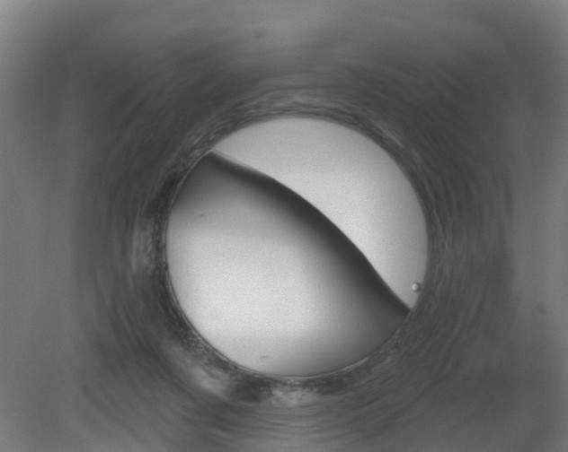 X0000079580311200612010932