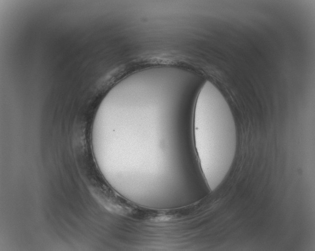 X0000079580312200612010932