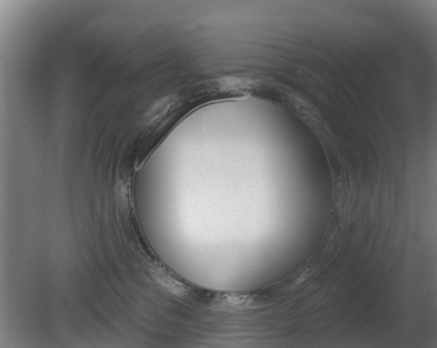 X0000079580329200612010932