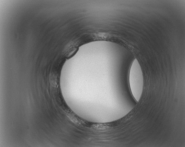 X0000079580331200612010932