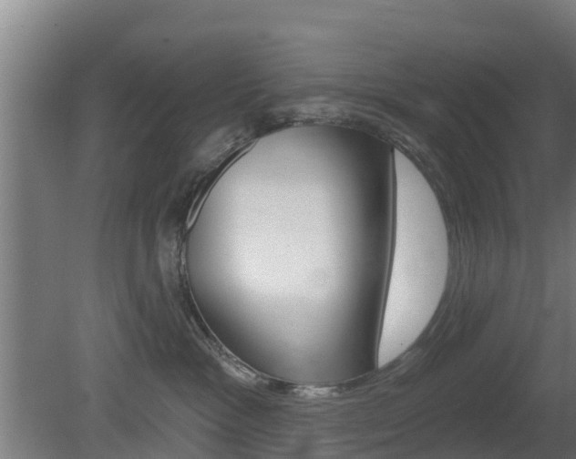 X0000079580333200612010932