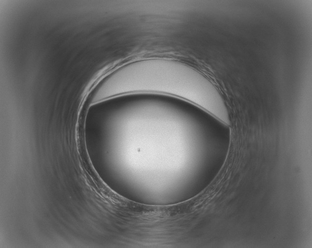 X0000079580340200612010931