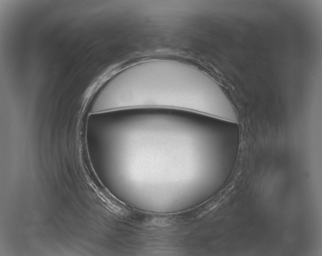 X0000079580341200612010931