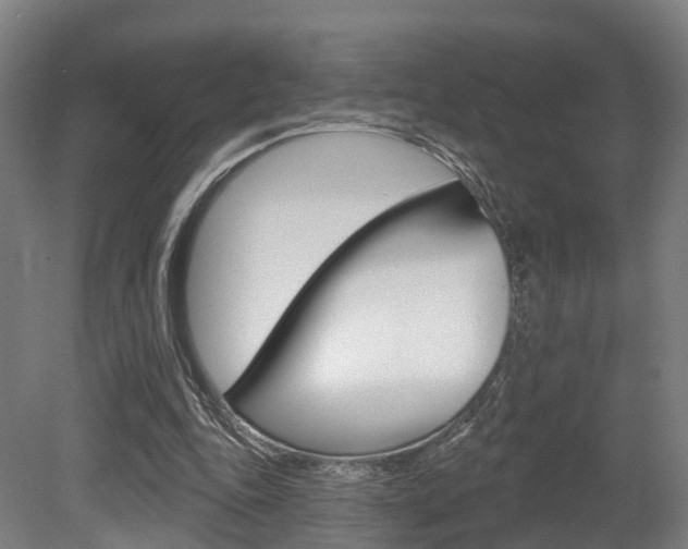 X0000079580343200612010931