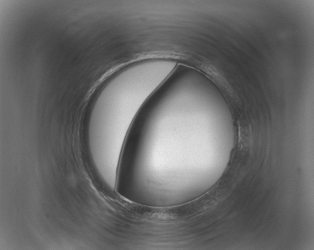 X0000079580348200612010931