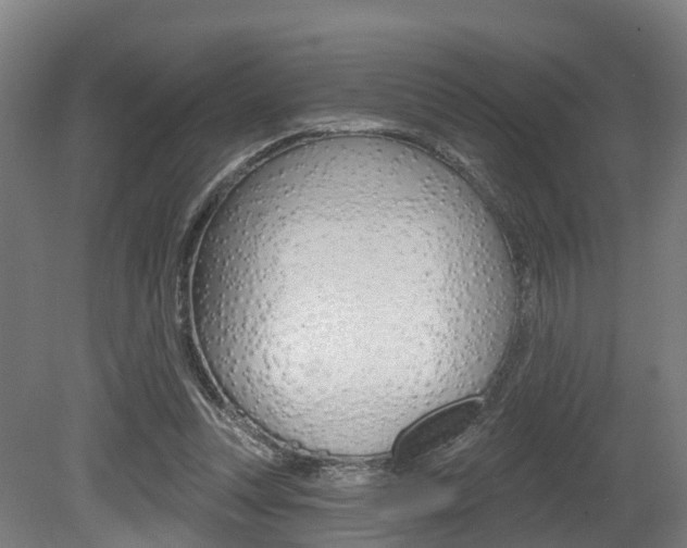 X0000079580351200612010931