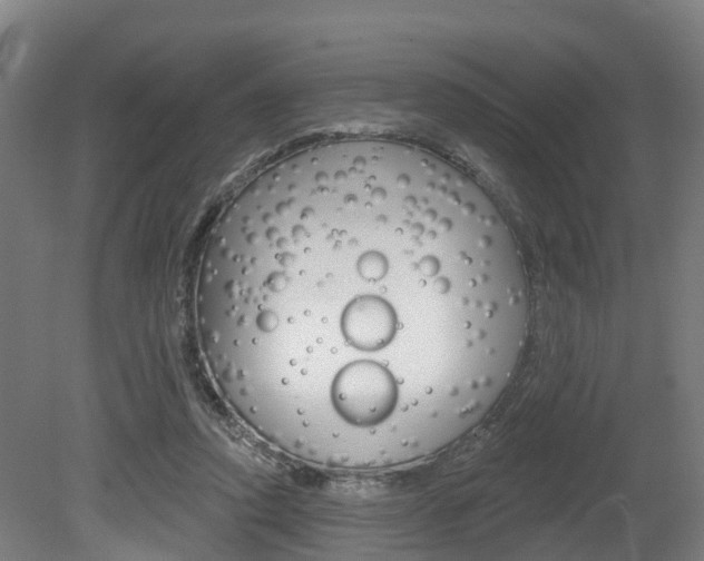 X0000079580354200612010931