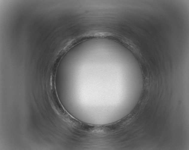 X0000079580358200612010931