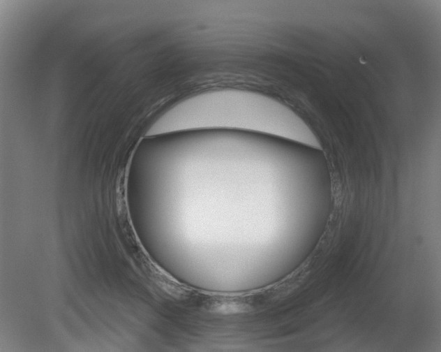 X0000079580360200612010931