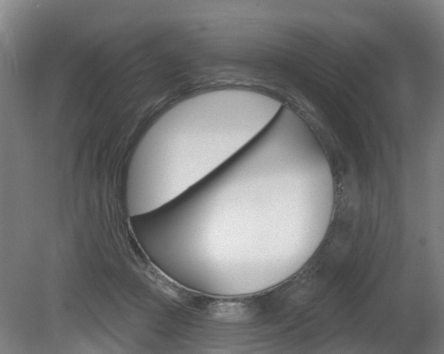 X0000079580361200612010931