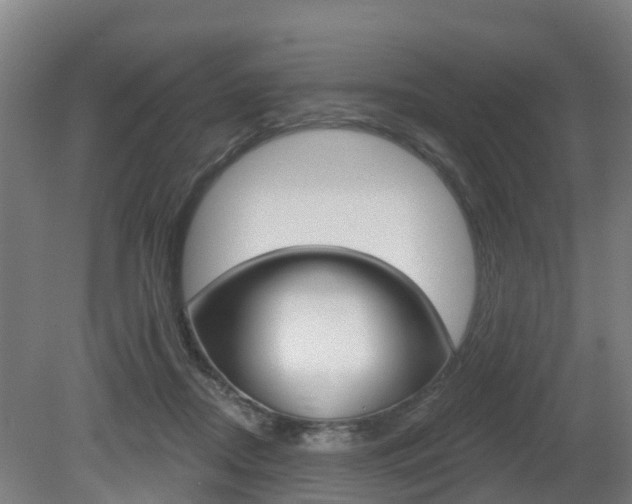 X0000079580362200612010932