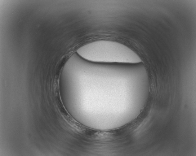 X0000079580367200612010932