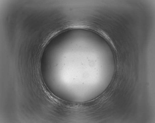 X0000079580385200612010931