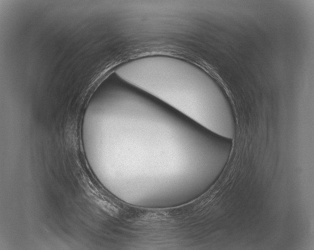 X0000079580386200612010931