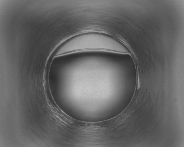 X0000079580387200612010931