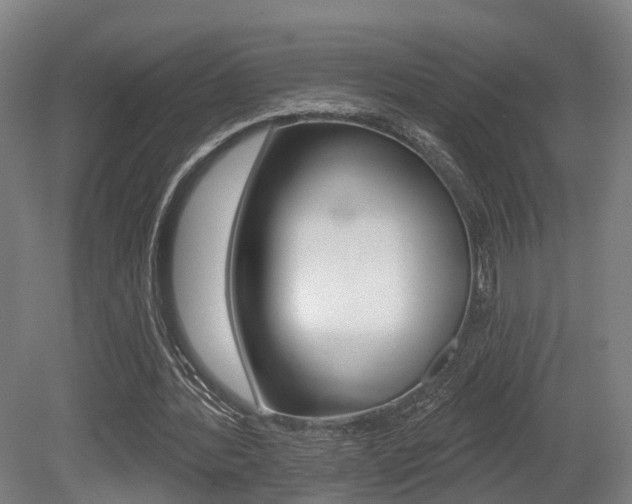 X0000079580388200612010931