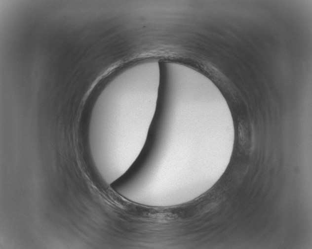X0000079580396200612010931
