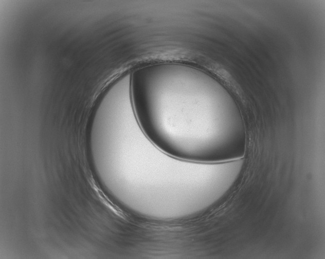 X0000079580397200612010931