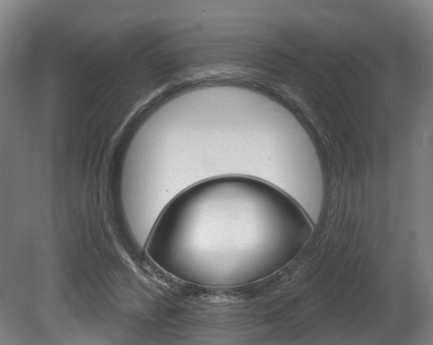 X0000079580400200612010931