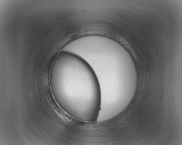 X0000079580401200612010931