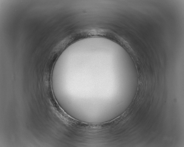 X0000079580402200612010931