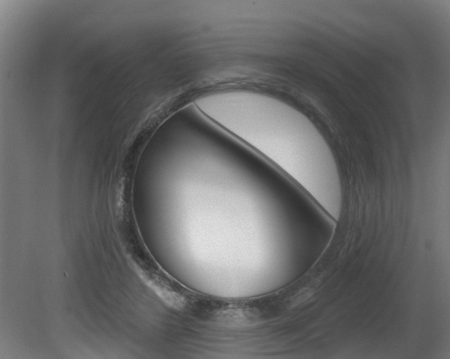 X0000079580404200612010931