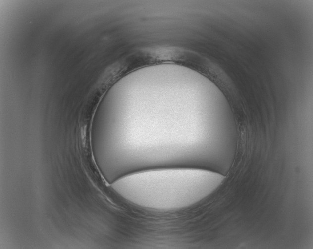 X0000079580406200612010931